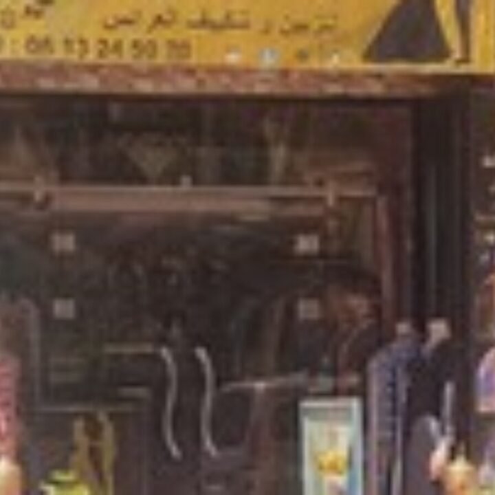 النكافة نزهة