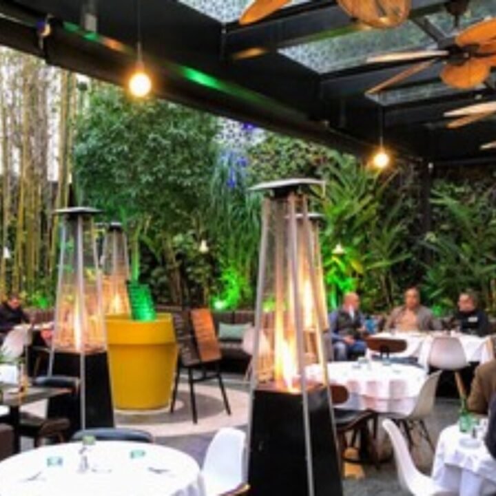 Le Patio · Hôtel Gauthier